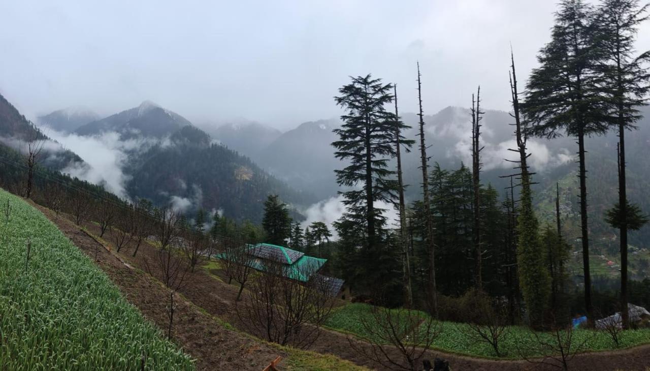 Deep In Woods Villa Jibhi Exterior photo