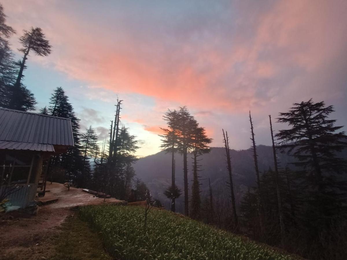 Deep In Woods Villa Jibhi Exterior photo