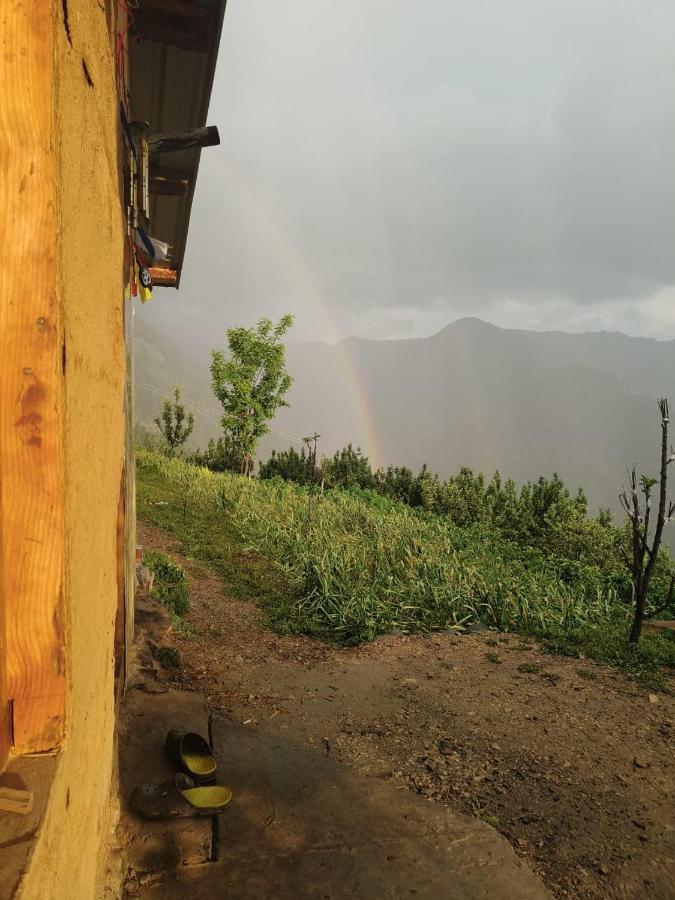 Deep In Woods Villa Jibhi Exterior photo
